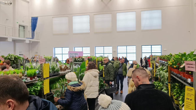 Festiwal Roślin w Enea Arenie