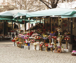 Nowe znaki  flowers & ride na pl. Solnym we Wrocławiu