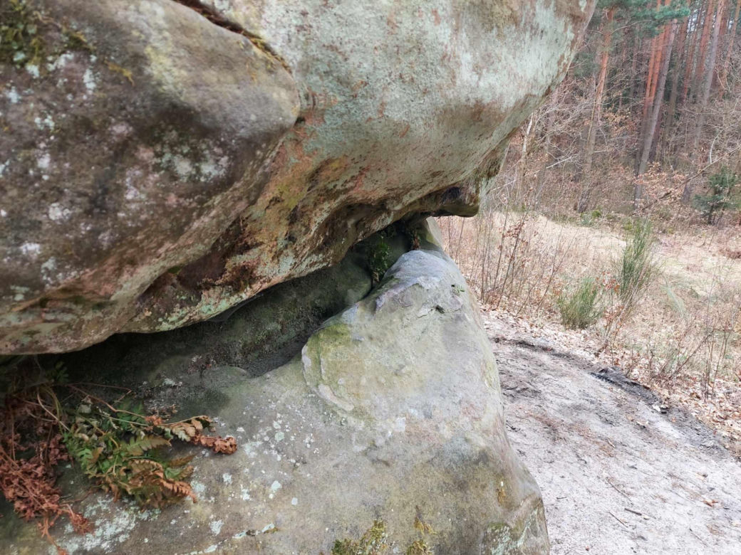 Rezerwat Przyrody "Skały pod Adamowem"