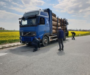 Kontrole transportu drewna