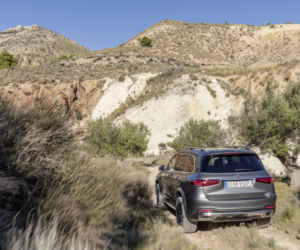Mercedes-Benz GLS (2020) AMG Line