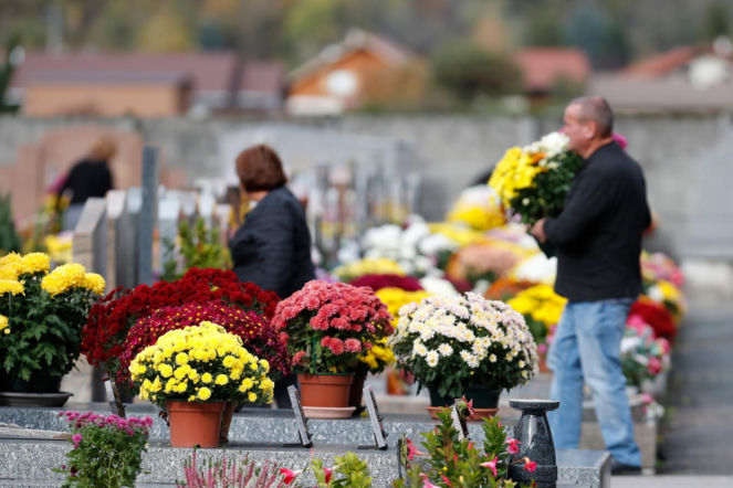 Te kwiaty nie powinny znaleźć się na grobie 1 listopada. Swoj gust lepiej schować do kieszeni i nie ozdabiać nimi nagrobków bliskich, zwłaszcza we Wszystkich Świętych. Kwiaty na cmentarz 
