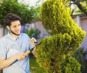fot7_ThinkstockPhotos.jpg