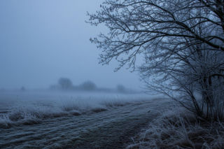 Sandomierz drży z zimna 19.11.2025! Czy to już zima, czy tylko jej mroźny zwiastun?