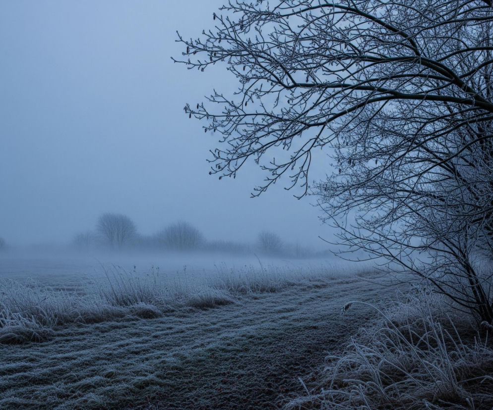 Zamarznięte drzewo o nagich gałęziach dominuje prawą stronę obrazu, jego drobne konary pokryte są szronem. Pod nim rozciąga się pole usiane kępami trawy i suchych roślin, wszystkie białe od szronu, tworząc teksturę przypominającą kłęby dymu. W tle widoczna jest gęsta mgła, która zaciera horyzont i sprawia, że odległe drzewa są ledwo widocznymi, ciemnymi kształtami. Cała scena utrzymana jest w chłodnych odcieniach błękitu i szarości, podkreślając zimową atmosferę.