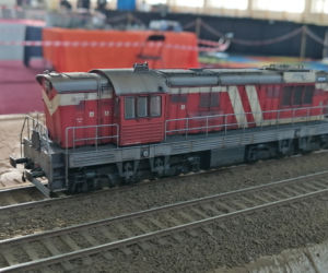 wystawa modeli w Iławie