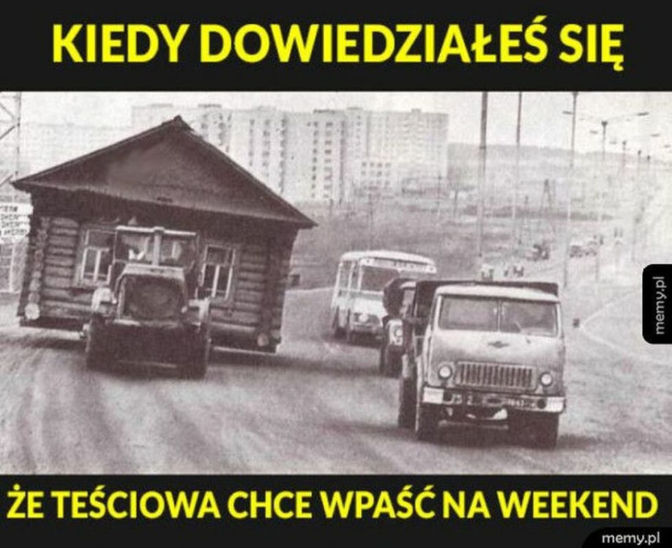 Memy na Dzień Teściowej 2025 [GALERIA]