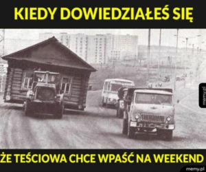 Memy na Dzień Teściowej 2025 [GALERIA]