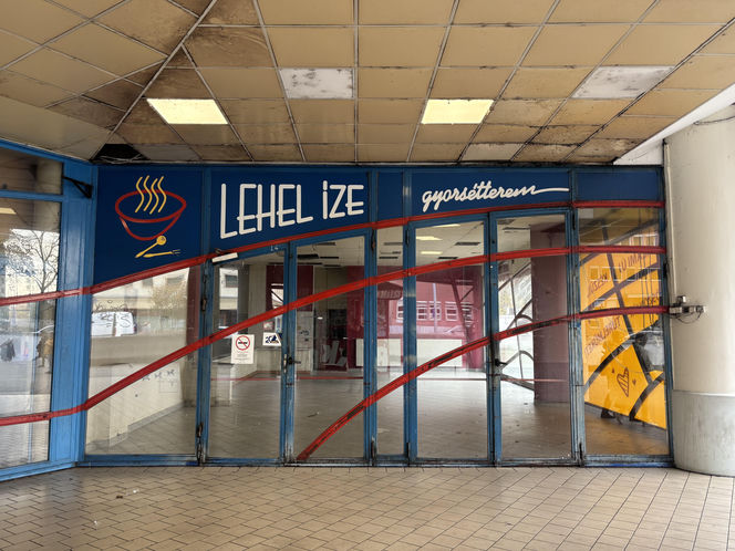 Lehel Market w Budapeszcie