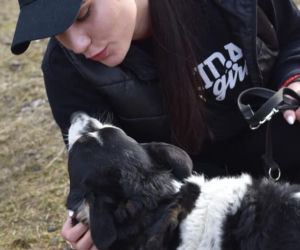 Dziewczyny z Torcida Girls zorganizowały zbiórkę na schronisko dla zwierząt. Zachęcaja wszystkich do pomocy [ZDJĘCIA]
