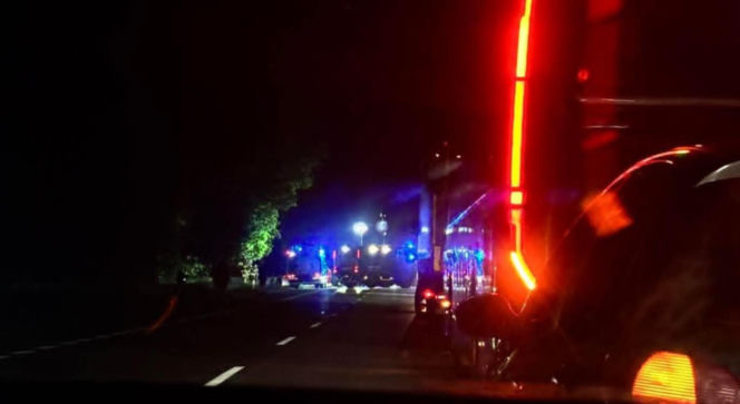 Zderzenie z łosiem na DK-92 w Grochówce. Kierowca trafił do szpitala!