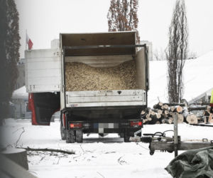 Rzeź drzew w parku w centrum Warszawy. Przygnębiający widok przed odbudową Pałacu Saskiego