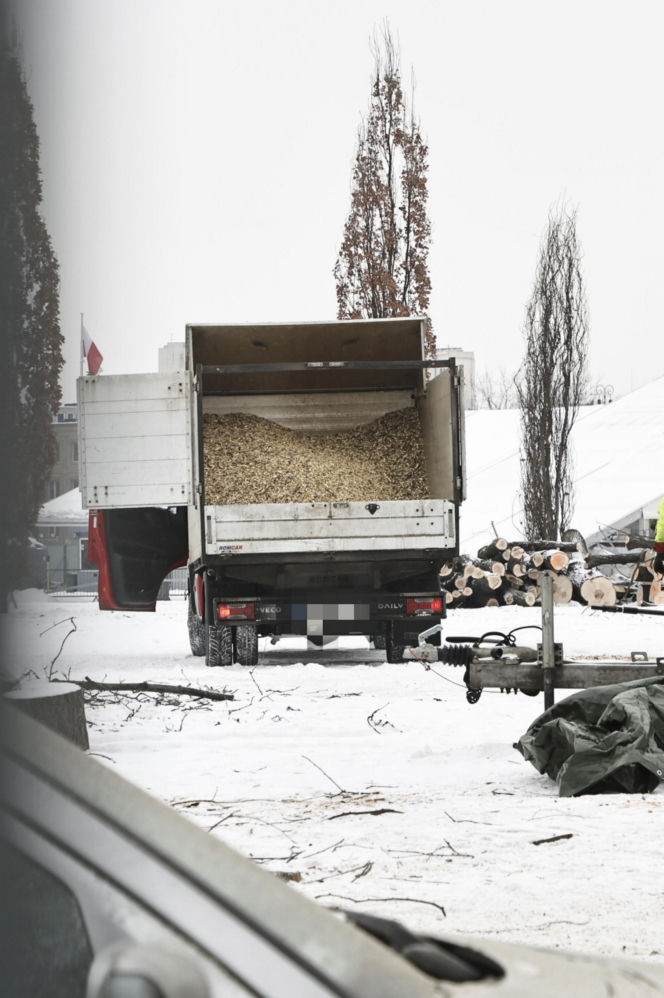 Rzeź drzew w parku w centrum Warszawy. Przygnębiający widok przed odbudową Pałacu Saskiego