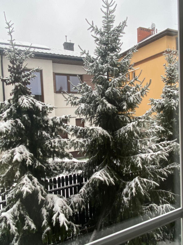 Zima w Warszawie. Zdjęcia od czytelników