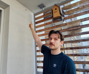 Ktoś zastrzelił papugę na osiedlu Żabiniec w Krakowie