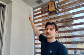 Ktoś zastrzelił papugę na osiedlu Żabiniec w Krakowie