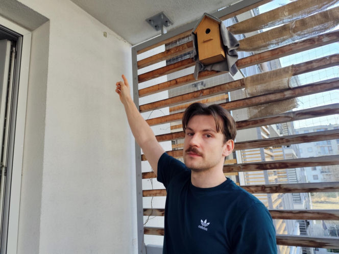 Ktoś zastrzelił papugę na osiedlu Żabiniec w Krakowie