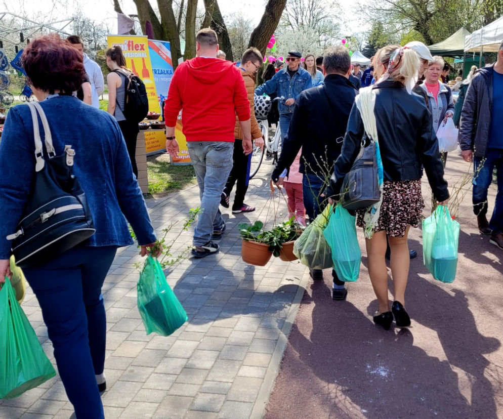 pila.pl