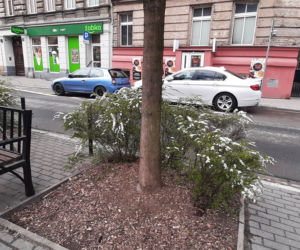 Wiosna 2021 w Poznaniu