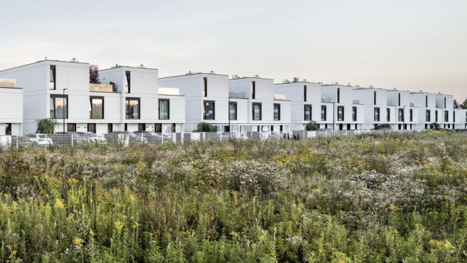 Osiedle Brzozowy Las w Wawrze