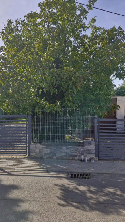 Ojciec wspiął się na płot żeby zerwać orzechy, Chwilę później doszło do tragedii. Nie żyje 5-latka z Lipna