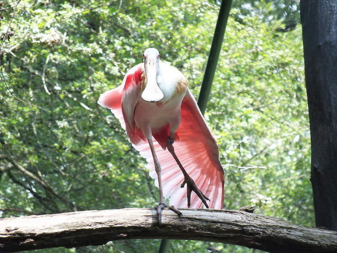 Tierpark Cottbus