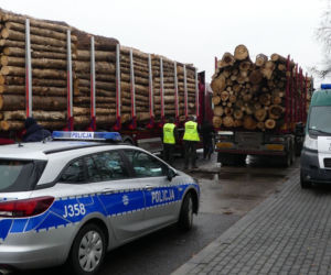 Kontrola ciężarówek przewożących drewno
