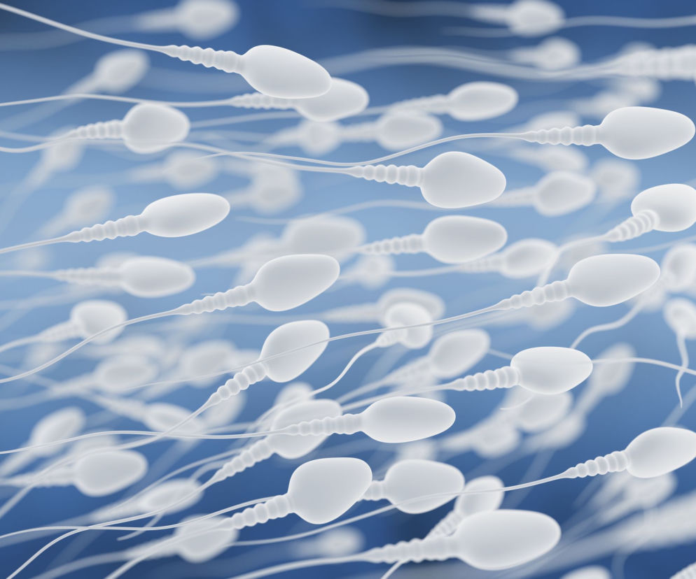 sperma