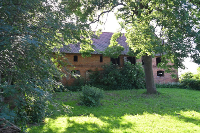 Schonbaum 1825
