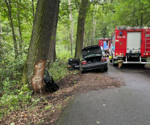 Dąbrowica: Bmw uderzyło w drzewo. 18-latek zakleszczony w pojeździe