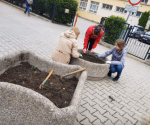 Iławska SP4 doceniona za ogródek i otoczenie szkoły
