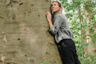 Jaki jest stan drzew w Iławie? Czy trzeba je szczególnie chronić?