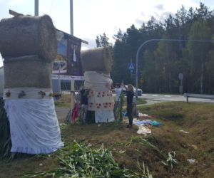 Żniwa dobiegają końca! Pod Bydgoszczą pojawiają się pierwsze witacze 