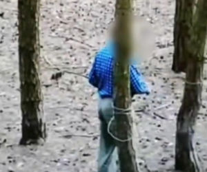 76-latka nagrała kamera w lesie. Już usłyszał zarzut