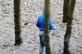 76-latka nagrała kamera w lesie. Już usłyszał zarzut