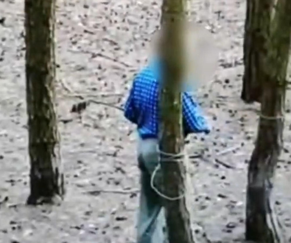 76-latka nagrała kamera w lesie. Już usłyszał zarzut