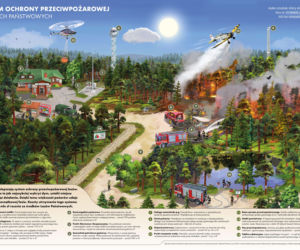 Bezpieczeństwo w lesie