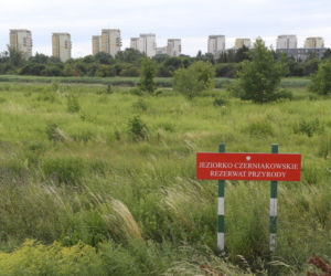 Jeziorko Czerniakowskie
