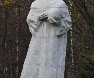 Przejęło nazwę od wchłoniętej wsi. Dzisiaj jest jednym z najważniejszych miast w województwie śląskim