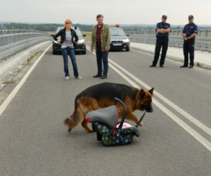 Komisarz Alex 4 sezon odcinek 47 (odc. 8). Lucyna (Magdalena Walach), Ryszard Puchała (Ireneusz Czop)