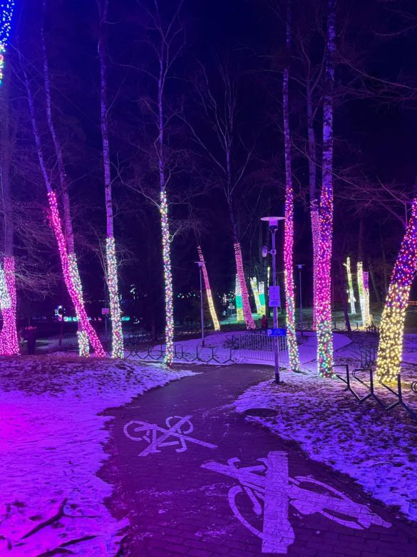 Garden of Lights w Szczecinie