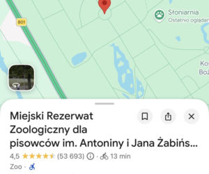Skandal w Google Maps. Ktoś zmienił nazwy znanych miejsc w Polsce