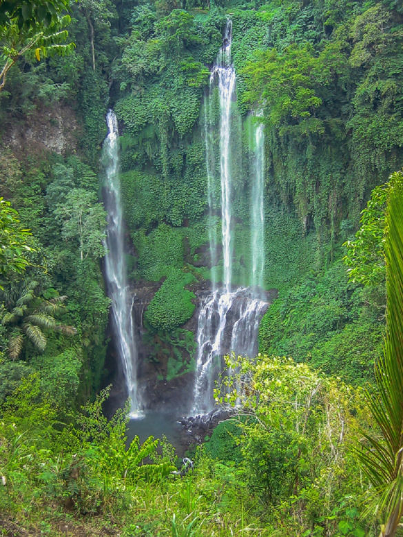 Bali