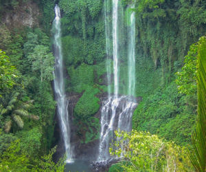 Bali