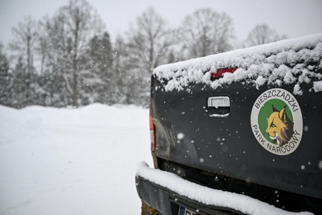 zima w Bieszczadach