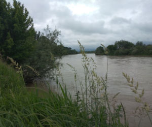 Wysoki Dunajec pod Tarnowem! Biała przy Azotach też przybiera
