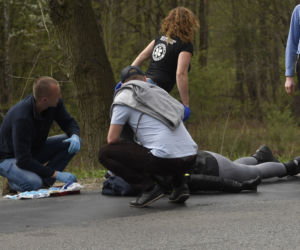 Łoś uderzył w motor przed rondem w Zielonce 