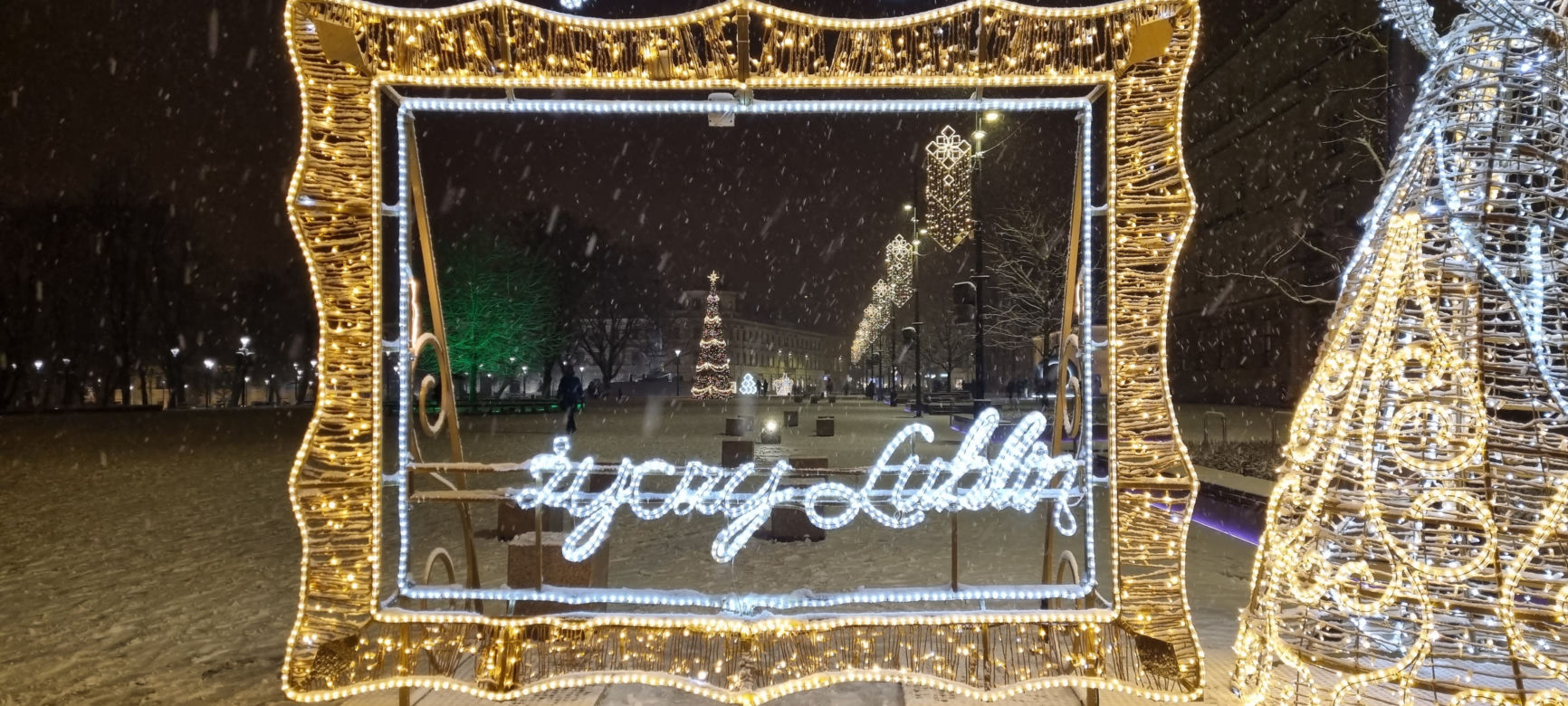 W Lublinie czuć klimat zbliżających się świąt. Iluminacje już świecą [GALERIA]