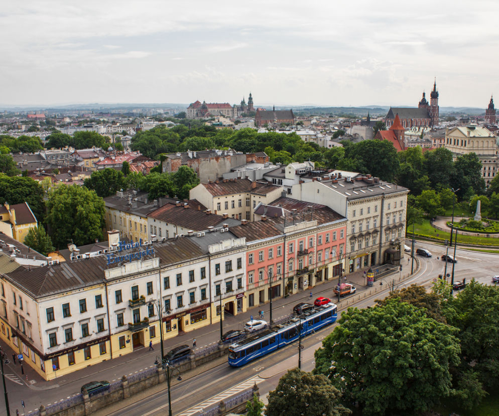 Zdjęcie dnia