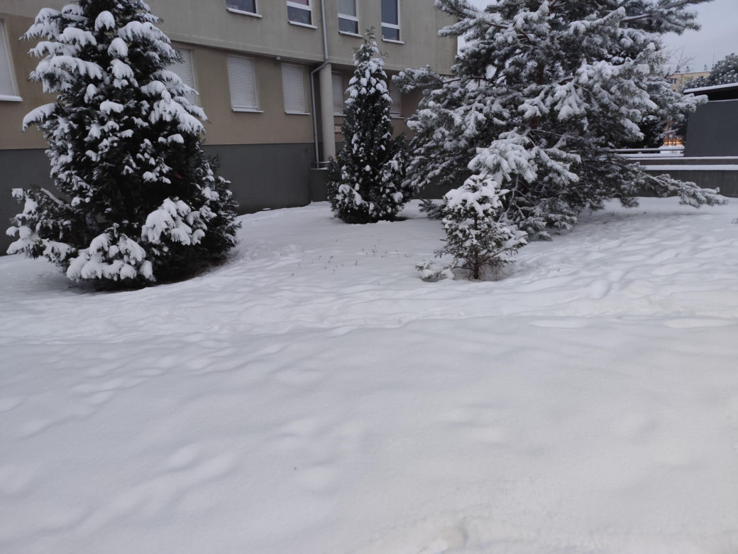 Śnieżna noc za nami. Czy zima zaskoczyła mieszkańców Poznania? 